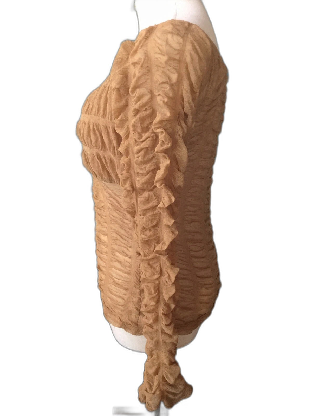 Luxx sheer ruched net top - gathered stretch detail