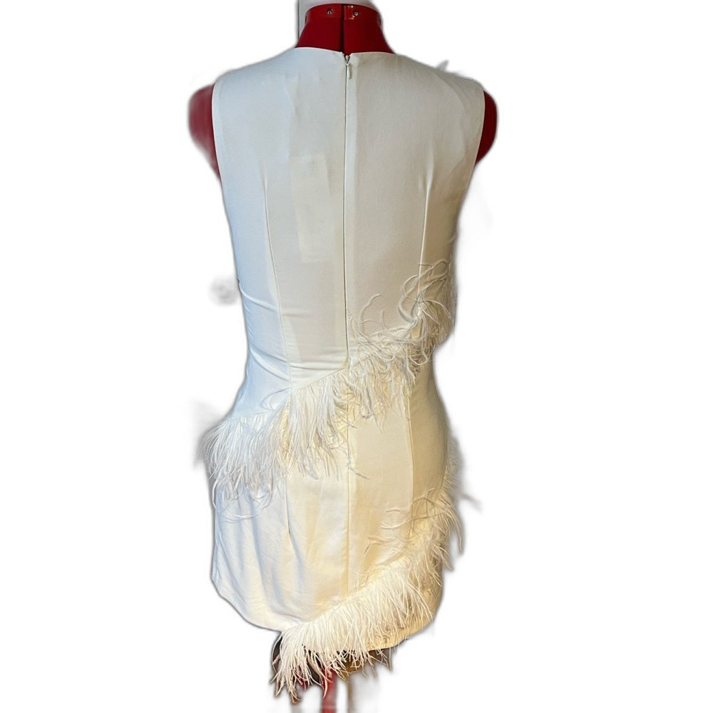 Hutch Pandy feather mini dress in white - feather detail