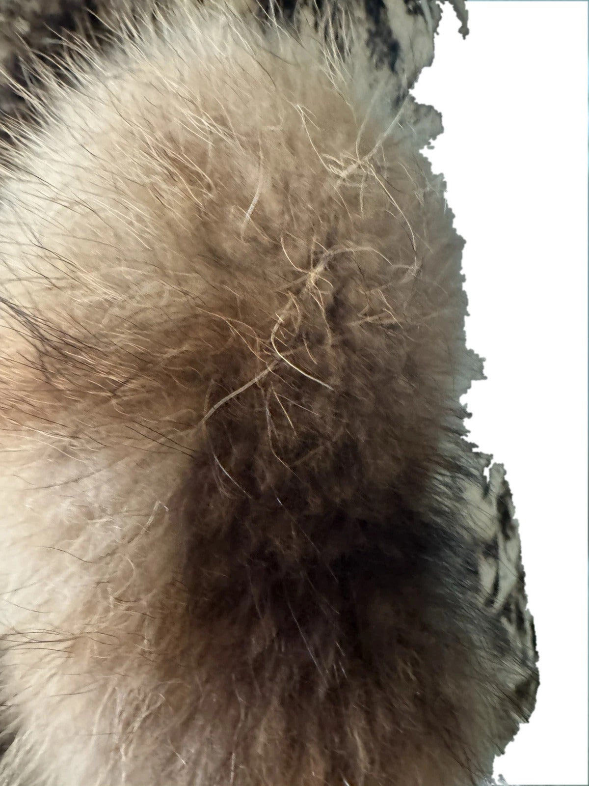 Saglia vintage sheared mink fur coat with raccoon trim - view 5